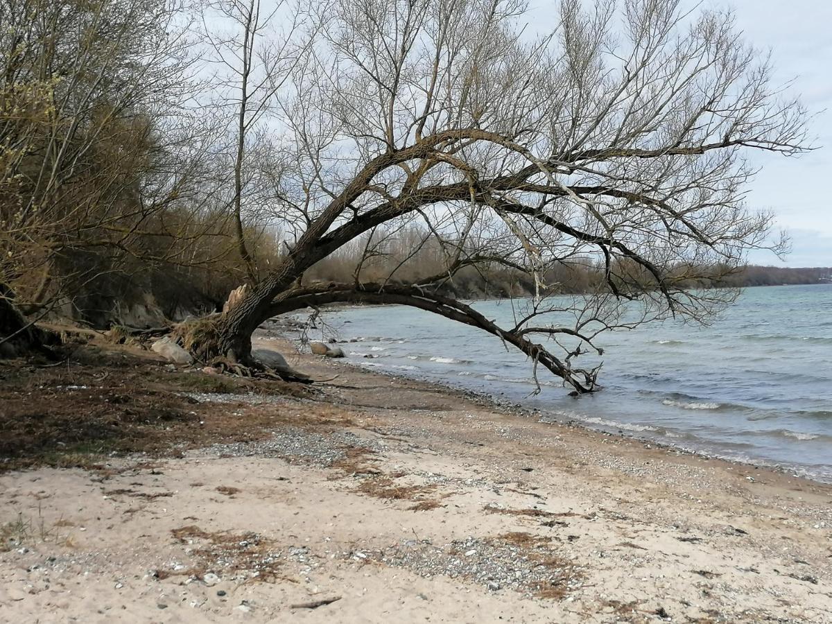 Pension Landidylle Wohlenhagen Luaran gambar