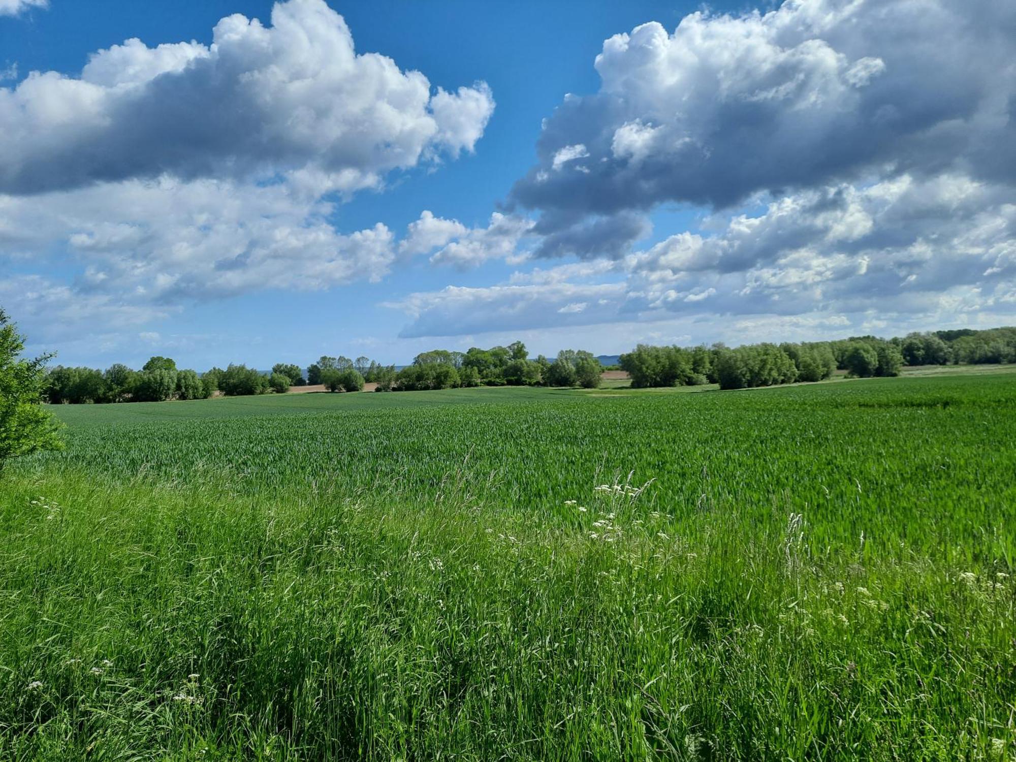 Pension Landidylle Wohlenhagen Luaran gambar
